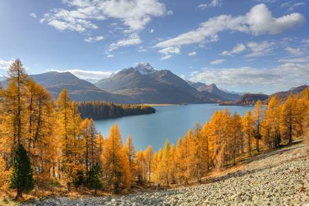 Herbsttag am Silsersee im Engadin in der Schweiz