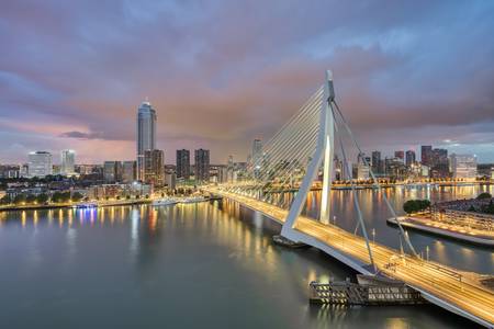 Rotterdam Erasmusbrücke und Skyline