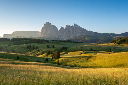 Sommermorgen auf der Seiser Alm