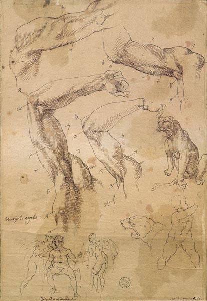 Ms H 184 fol.202 Studies of raised arms, a wild cat and a group of figures  & à Michelangelo Buonarroti