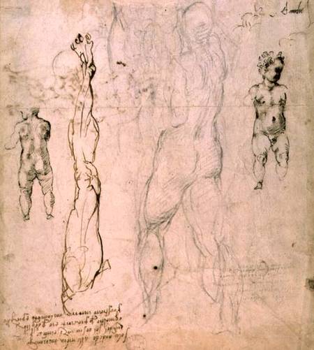 Anatomical drawings with accompanying notes (red chalk) à Michelangelo Buonarroti