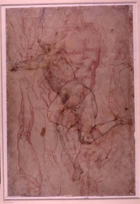 Figure Study, red chalk à Michelangelo Buonarroti