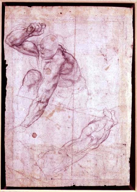 Male figure study à Michelangelo Buonarroti