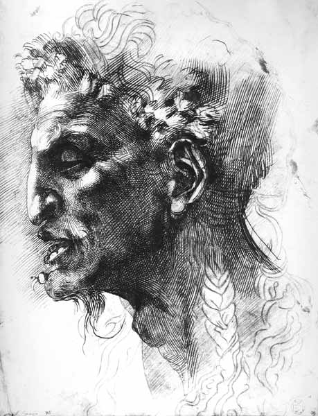 Head of a Satyr (pen & ink on paper) à Michelangelo Buonarroti