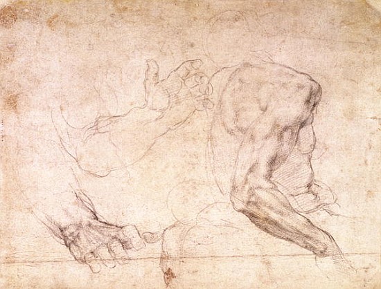 Studies of hands and an arm(verso) à Michelangelo Buonarroti