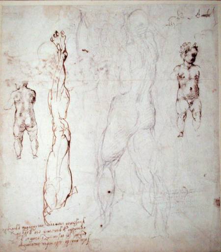 Study of the Christ Child and an Anatomical Drawing with Notes (black chalk & brown ink on paper) (v à Michelangelo Buonarroti