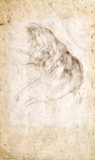 Study for The Creation of Adam(verso) (for recto see 191766) à Michelangelo Buonarroti