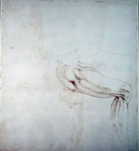 Study of a Leg with Notes  (recto) à Michelangelo Buonarroti