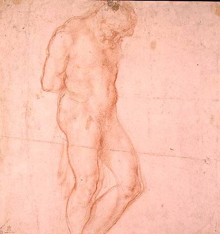 Study of a Nude (red chalk) Inv.1896/7/10/1 Verso (W.64) à Michelangelo Buonarroti