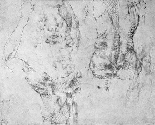Study of a back and shoulder (pen & ink on paper) à Michelangelo Buonarroti