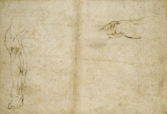 Study of a human leg, 16th century à Michelangelo Buonarroti