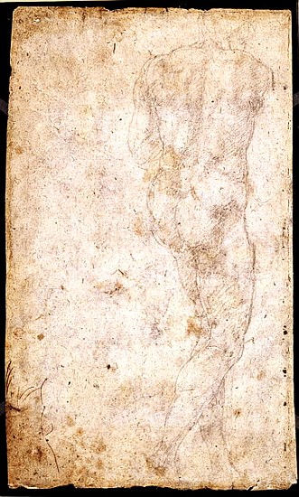 Study of a Male Nude  (for verso see 191765) à Michelangelo Buonarroti