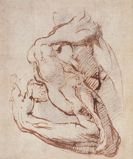 Study of an Arm Inv.1859/5/14/819 (W.49) à Michelangelo Buonarroti
