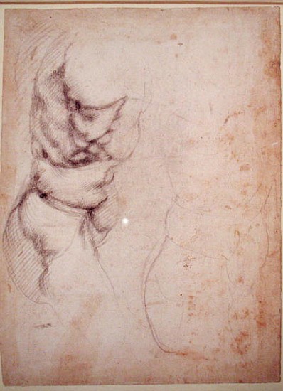 Study of torso and buttock à Michelangelo Buonarroti