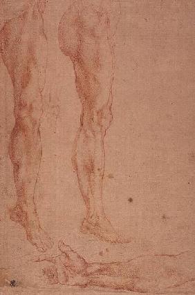 Studies of Legs and Arms