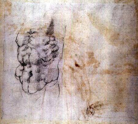 Torso Study (W.45 verso) à Michelangelo Buonarroti