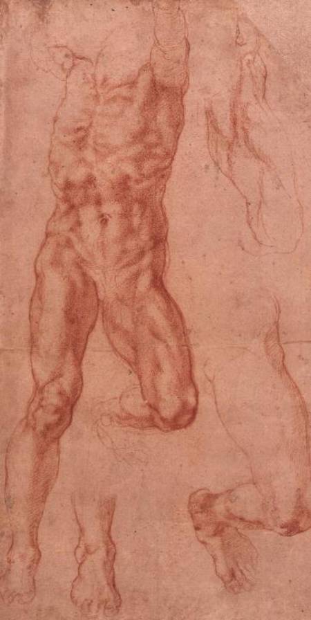 W.13r Study of a male nude, stretching upwards à Michelangelo Buonarroti