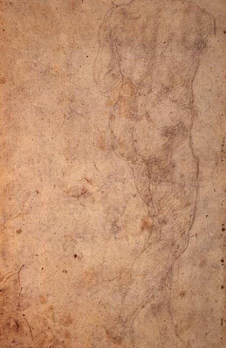 W.48 Sketch of a standing male nude, rear view à Michelangelo Buonarroti