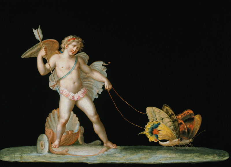 Cupid led by butterflies à Michelangelo Maestri