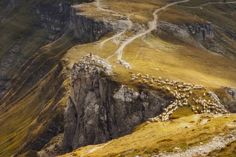 Alpine Pastures à Mihai Ian nedelcu
