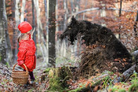 Little Red Riding Hood and The Wolf