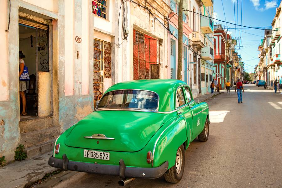 Green Havana à Miro May