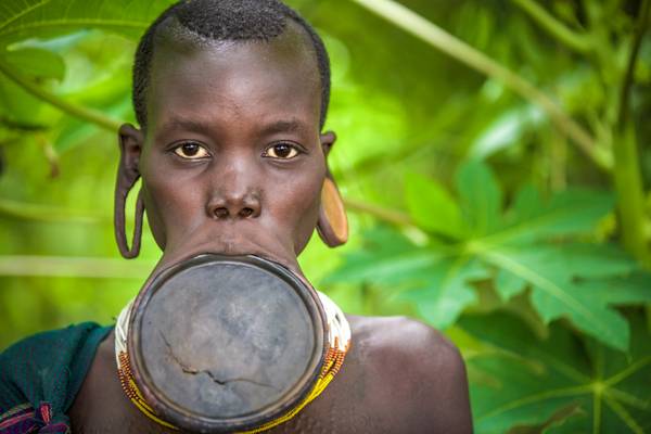 Porträt Frau mit Lippenteller aus dem Suri / Surma Stamm in Omo Valley, Äthiopien, Afrika à Miro May
