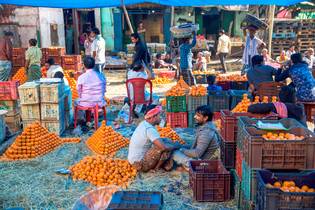 Marché des fruits