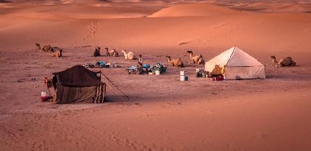 Nomadic Berber life