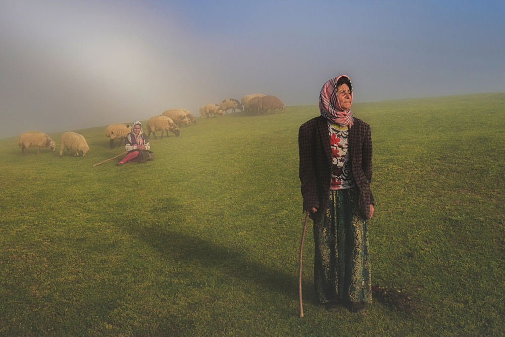 Shepherd in fog à Mohammad Shefaa AFIAP