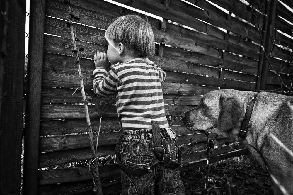 the world from behind the fence à Monika Strzelecka