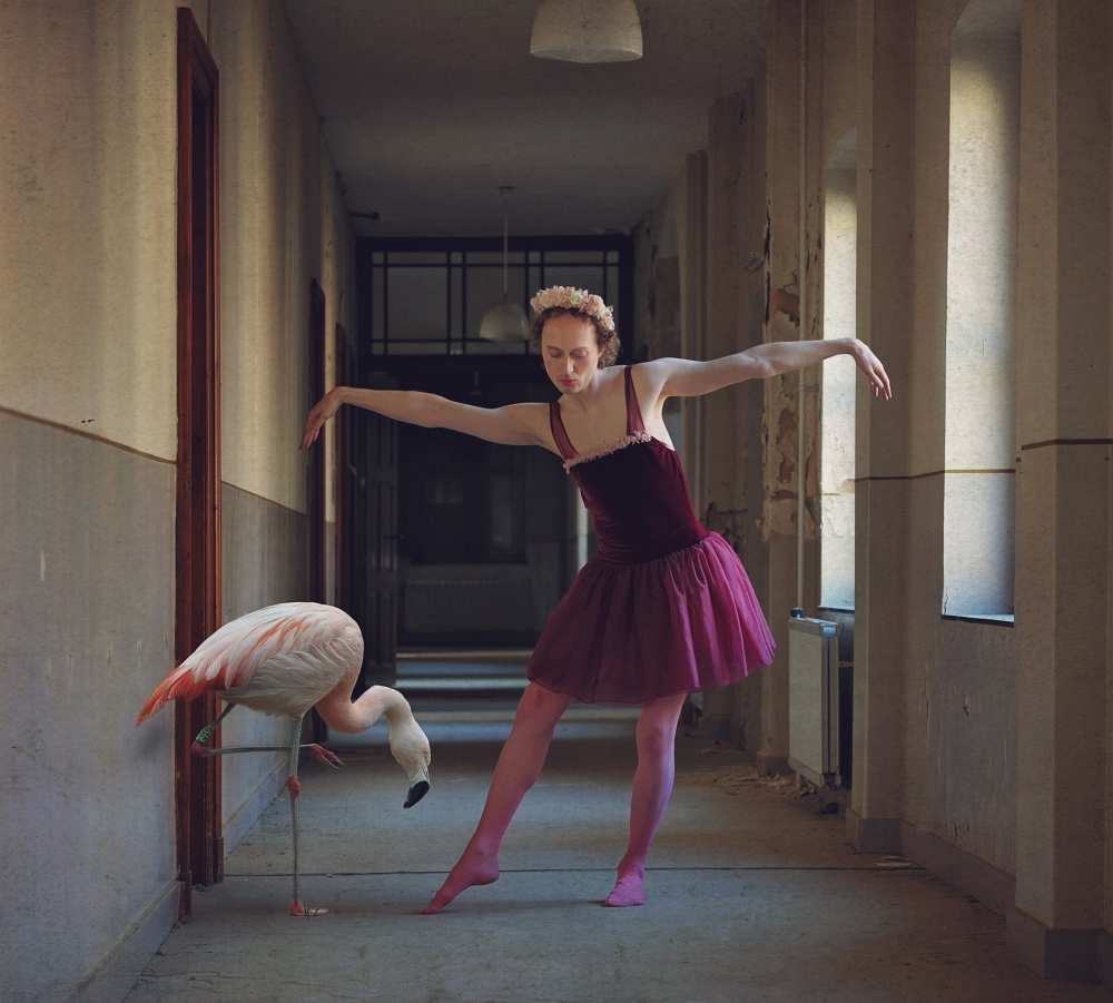 flamingo à Monika Vanhercke