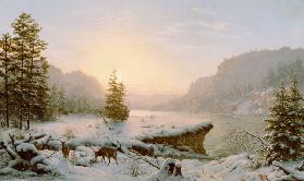 Winter Landscape