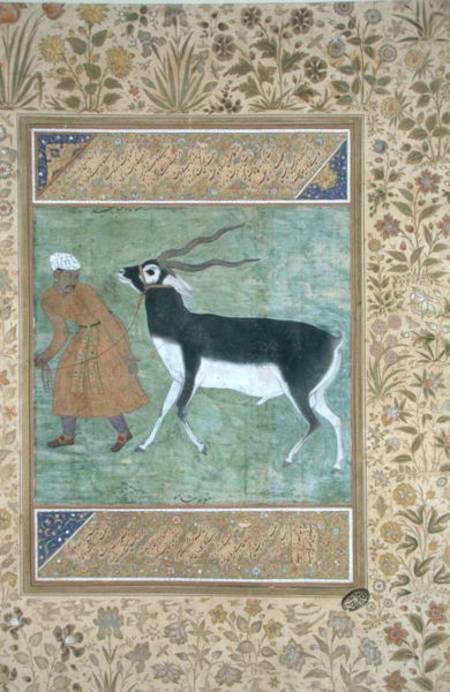 An Indian black buck being led by its keeper à École moghole