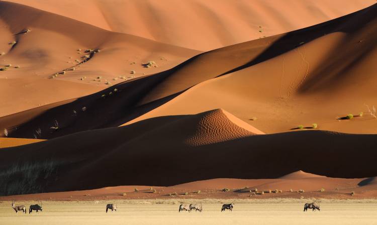 Namib Dunes à Muriel Vekemans