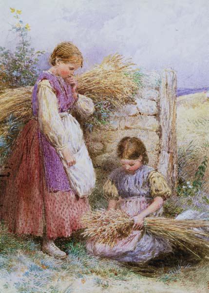 The Young Gleaners
