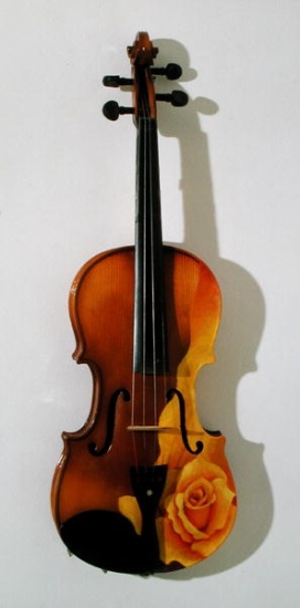 The Rose of Violin à Myung-Bo  Sim