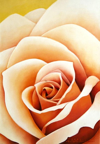 The Rose, 2003 (oil on canvas)  à Myung-Bo  Sim