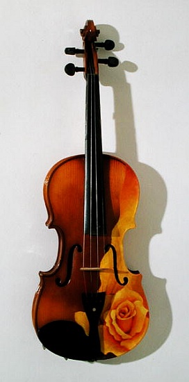 The Rose of Violin à Myung-Bo  Sim