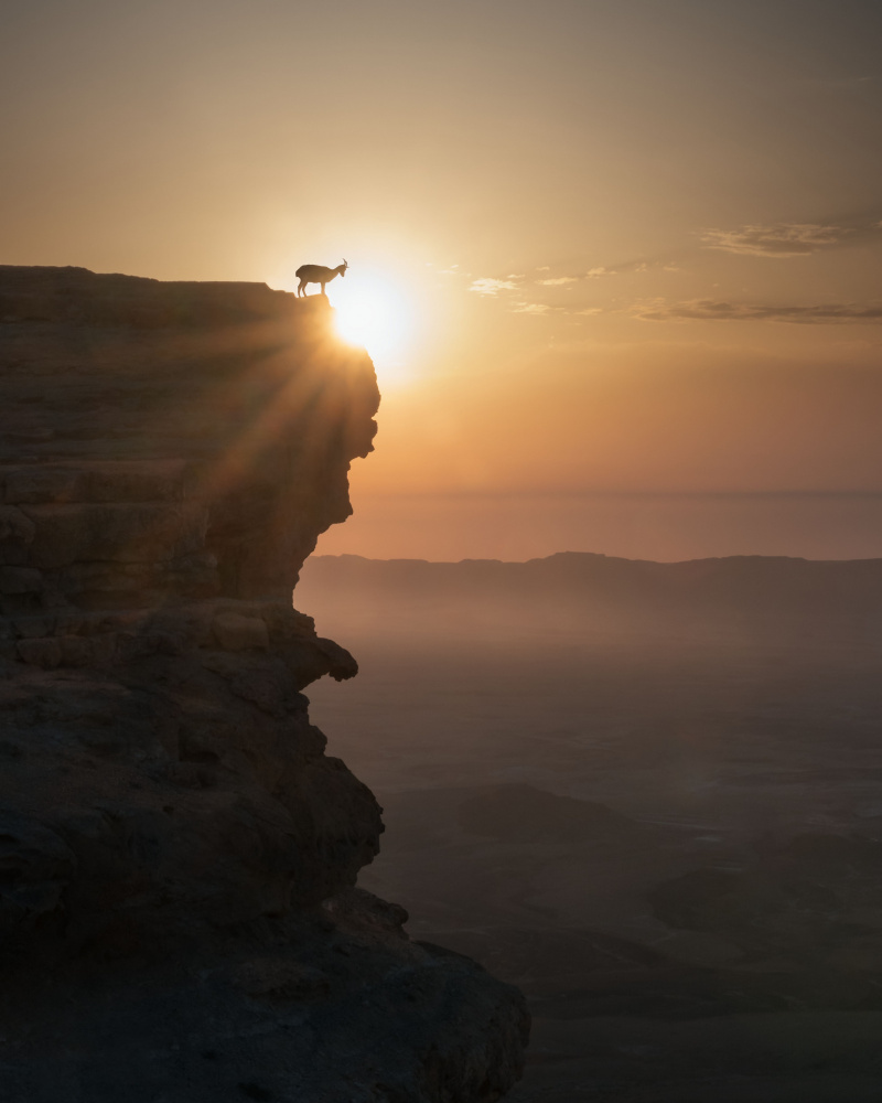 Desert Sunrise à Nadav Jonas