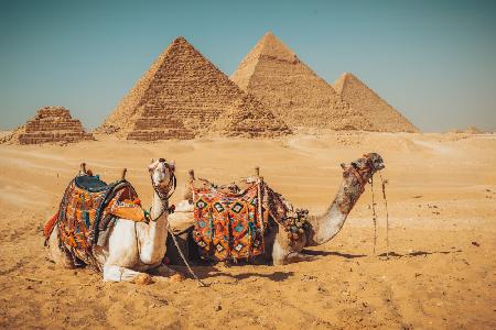 Visit to the pyramids