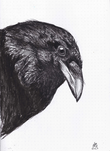Crow or Raven à Nancy Moniz Charalambous
