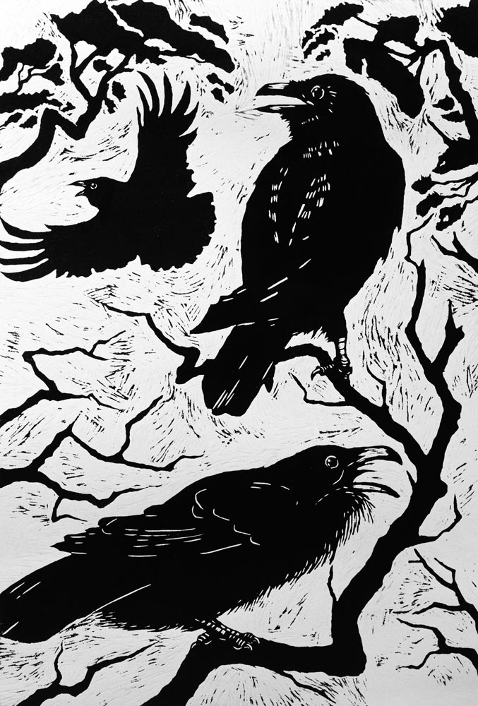 Ravens, 1998 (woodcut)  à Nat  Morley