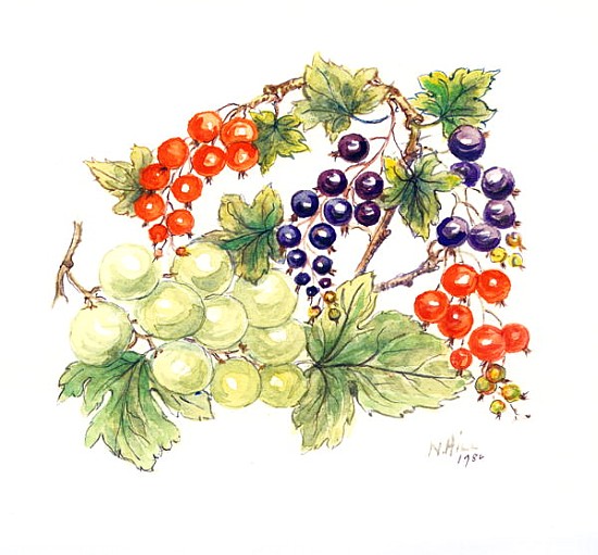 Black and Red Currants with Green Grapes, 1986 (w/c on paper)  à Nell  Hill