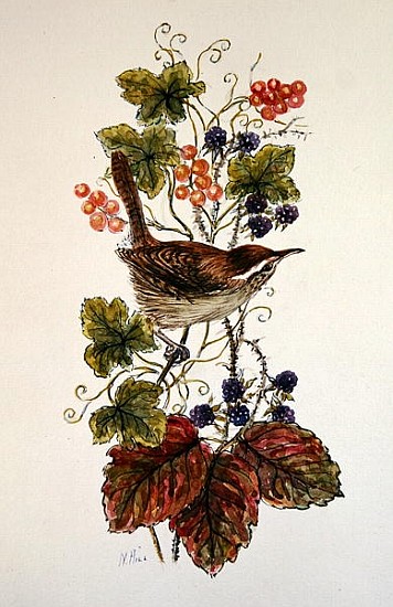Wren on a spray of berries  à Nell  Hill