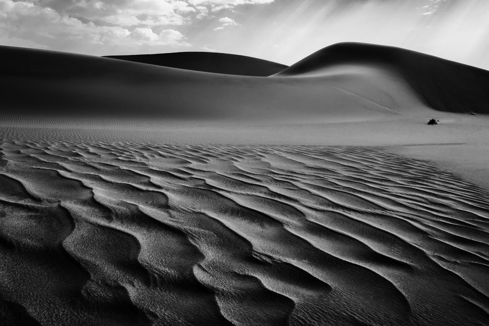 The Living Dunes, Namibia I à Neville Jones
