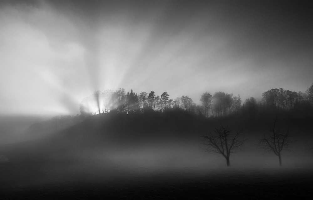 The sun in the fog à Nic Keller