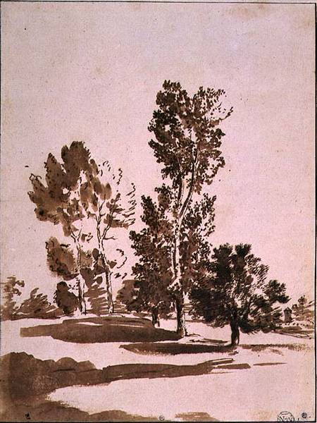 Tree Study (pen & ink on paper) à Nicolas Poussin