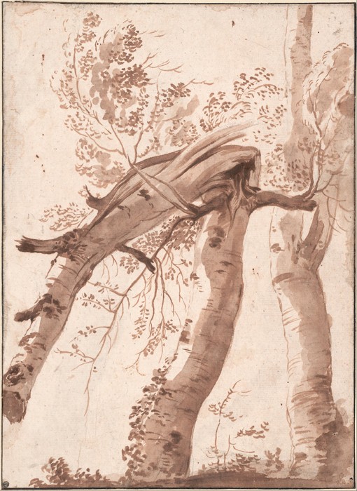 Two Silver Birches, the Front One Fallen à Nicolas Poussin