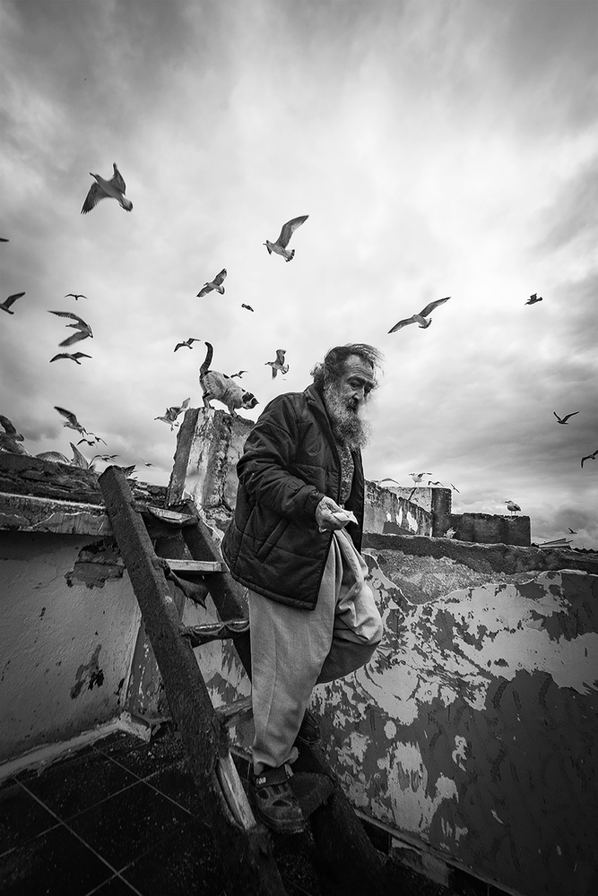 Man feeding seagulls à Nihal Eken